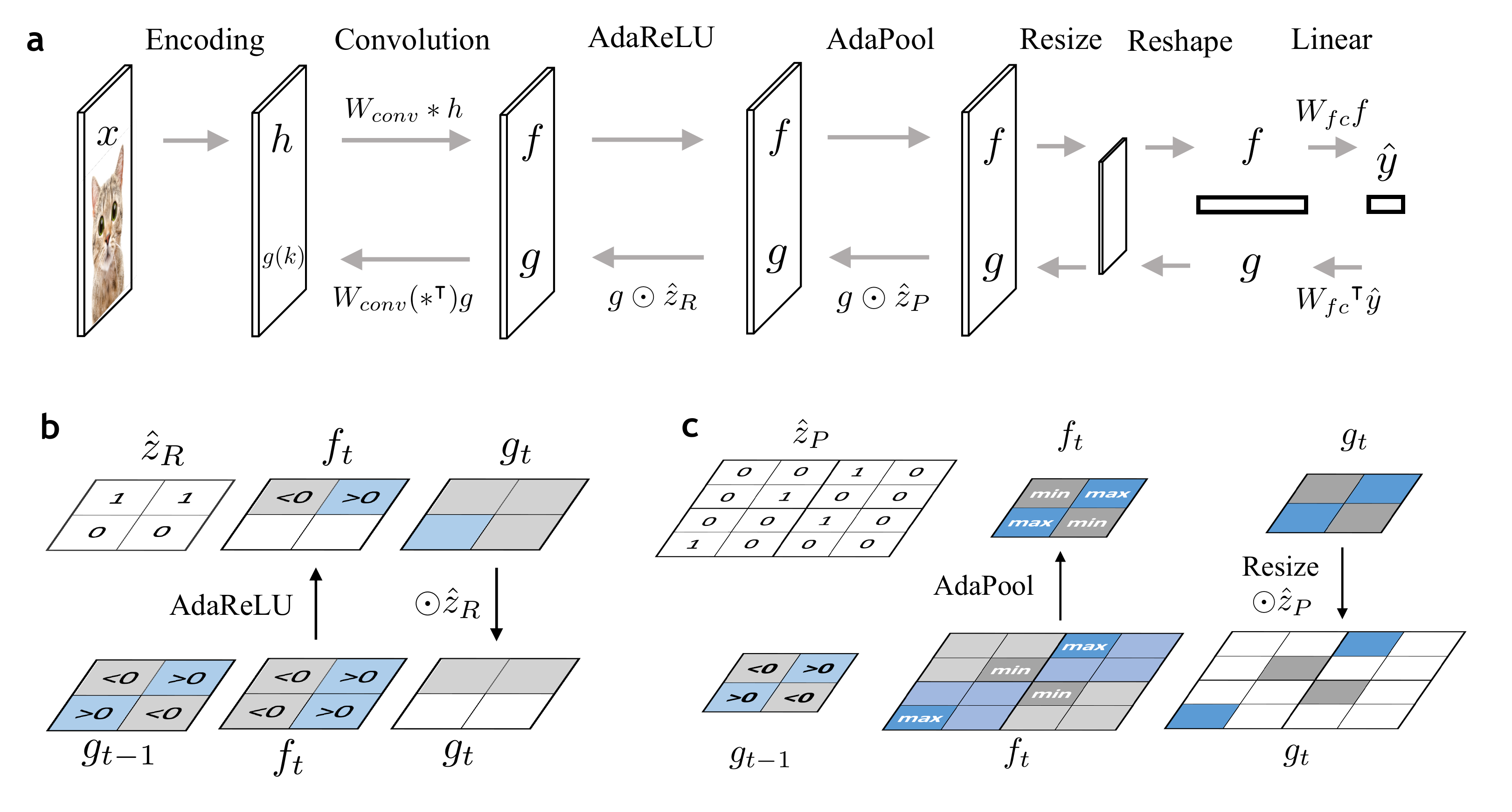 Feedforward and feedback pathway in CNN-F. a) {\hat{y}} and {\hat{z}} are computed by the feedforward pathway and {\hat{h}} is computed from the feedback pathway. b) Illustration of the AdaReLU operator. c) Illustration of the AdaPool operator.